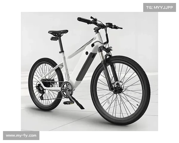 电助力山地车项目纳入赛事，反映行业技术发展新方向